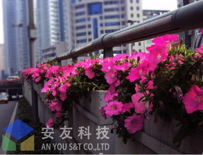 立體交響曲 高架橋綠化景觀設計的理念與實踐